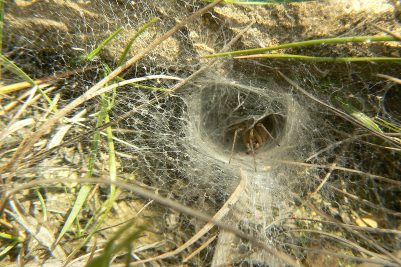 Wczytywanie Obrazu...