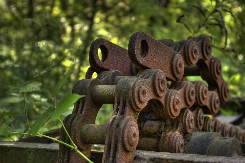 Wczytywanie Obrazu...