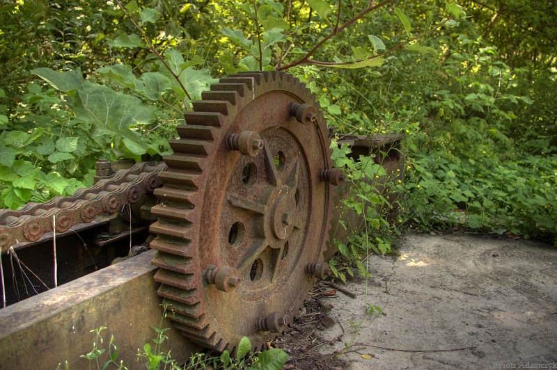 Wczytywanie Obrazu...