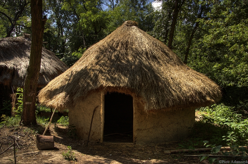 Wczytywanie Obrazu...