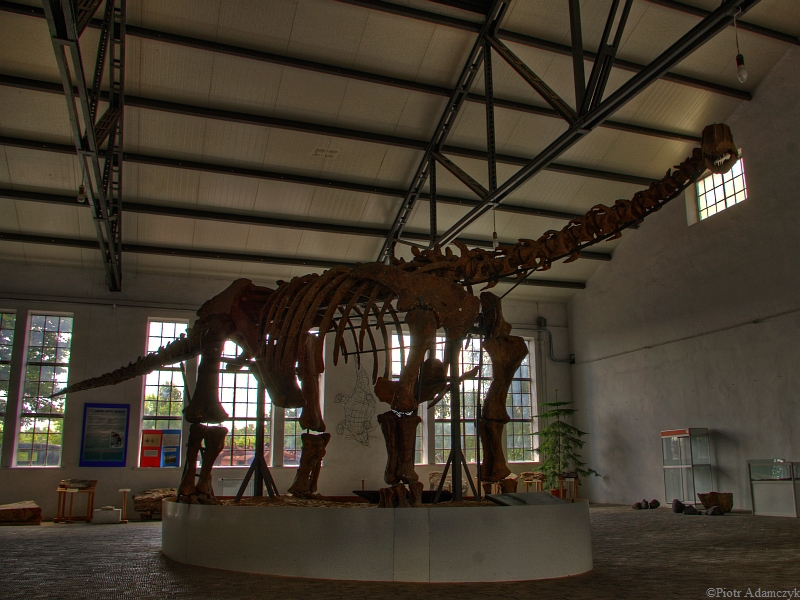 Wczytywanie Obrazu...