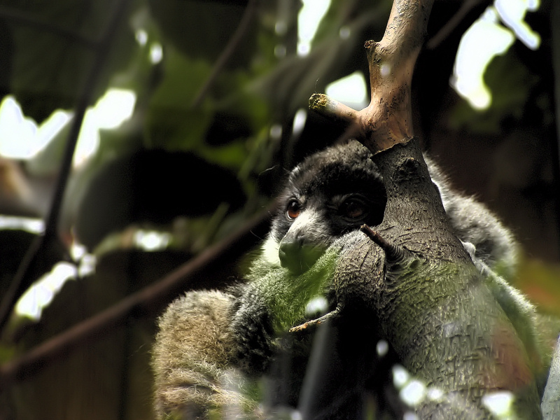 Wczytywanie Obrazu...