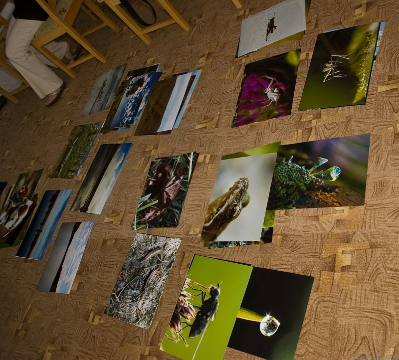 Wczytywanie Obrazu...