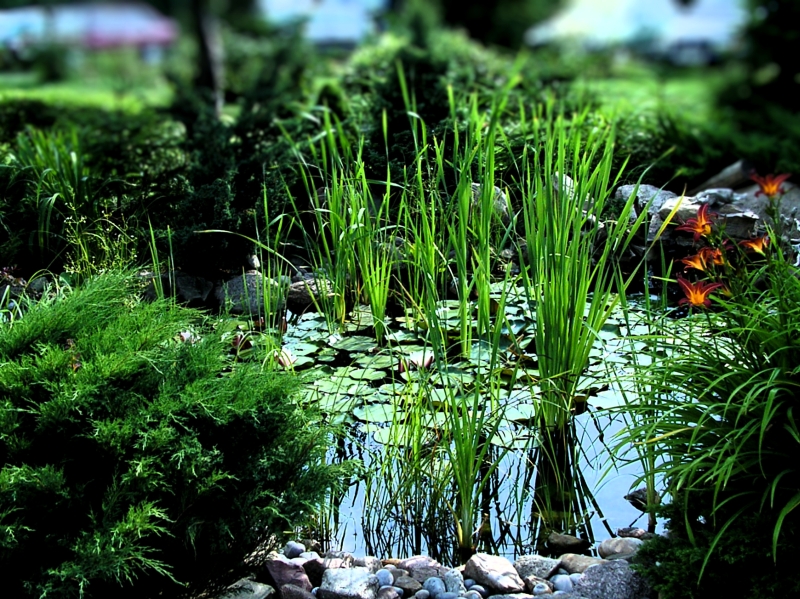 Wczytywanie Obrazu...