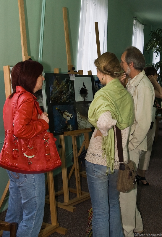 Wczytywanie Obrazu...