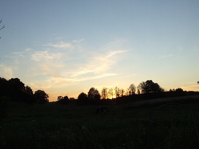 Wczytywanie Obrazu...