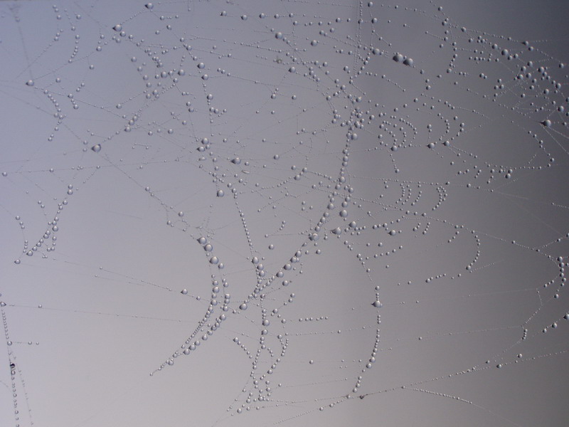 Wczytywanie Obrazu...