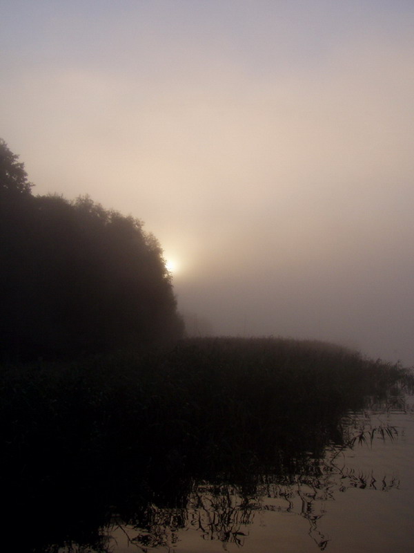 Wczytywanie Obrazu...