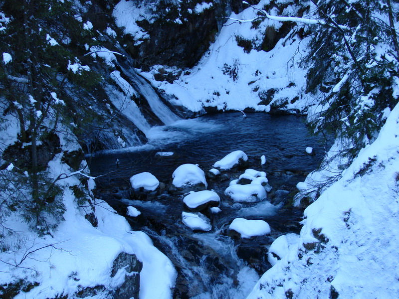 Wczytywanie Obrazu...