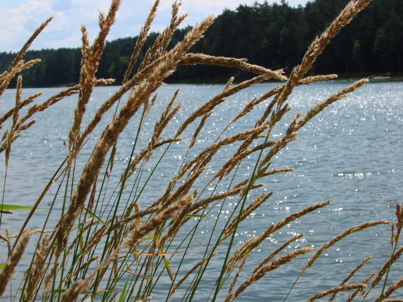 Wczytywanie Obrazu...