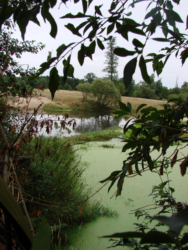 Wczytywanie Obrazu...