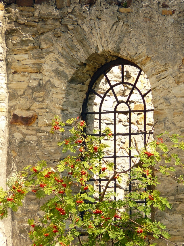 Wczytywanie Obrazu...