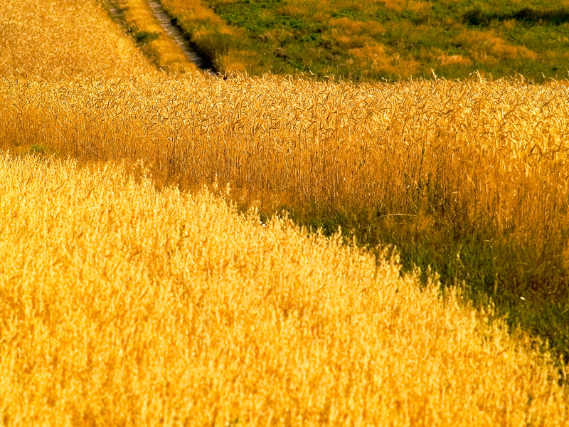 Wczytywanie Obrazu...