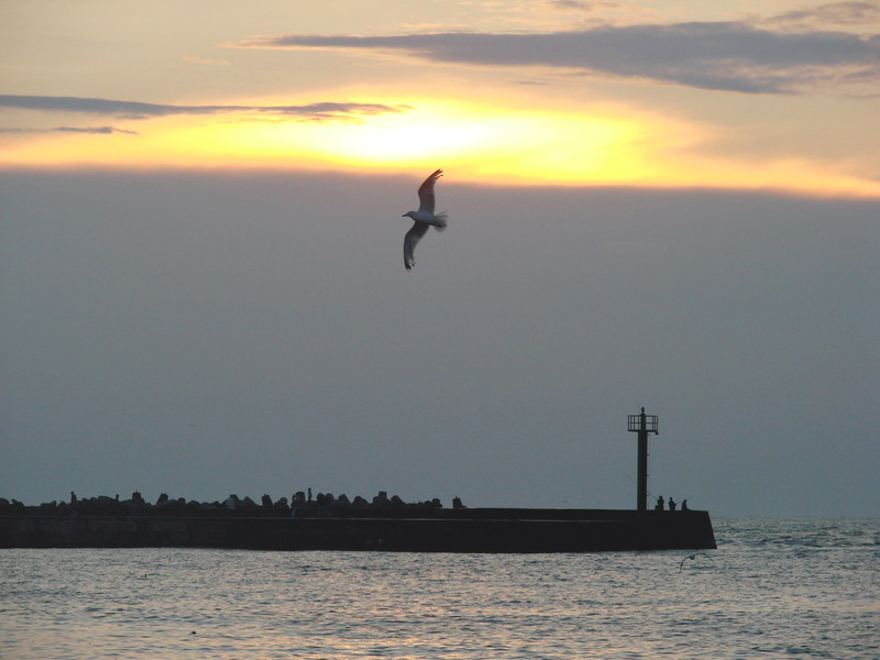 Wczytywanie Obrazu...