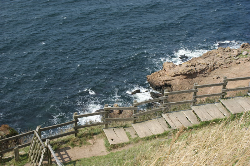 Wczytywanie Obrazu...