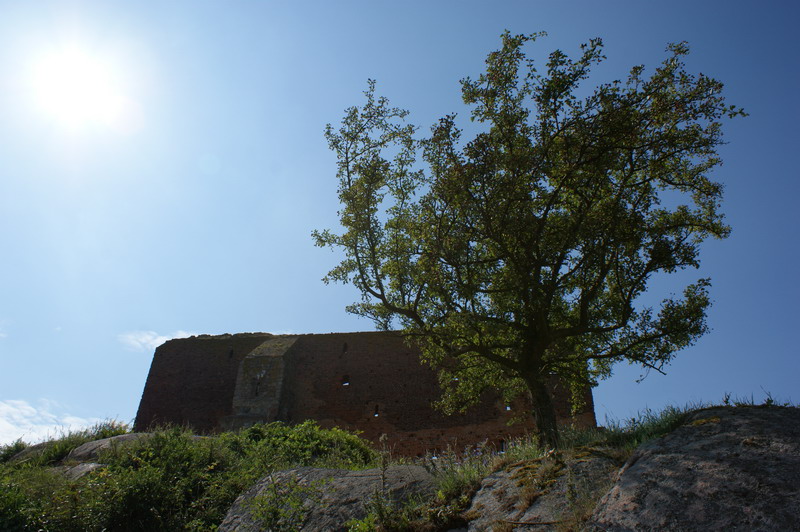 Wczytywanie Obrazu...