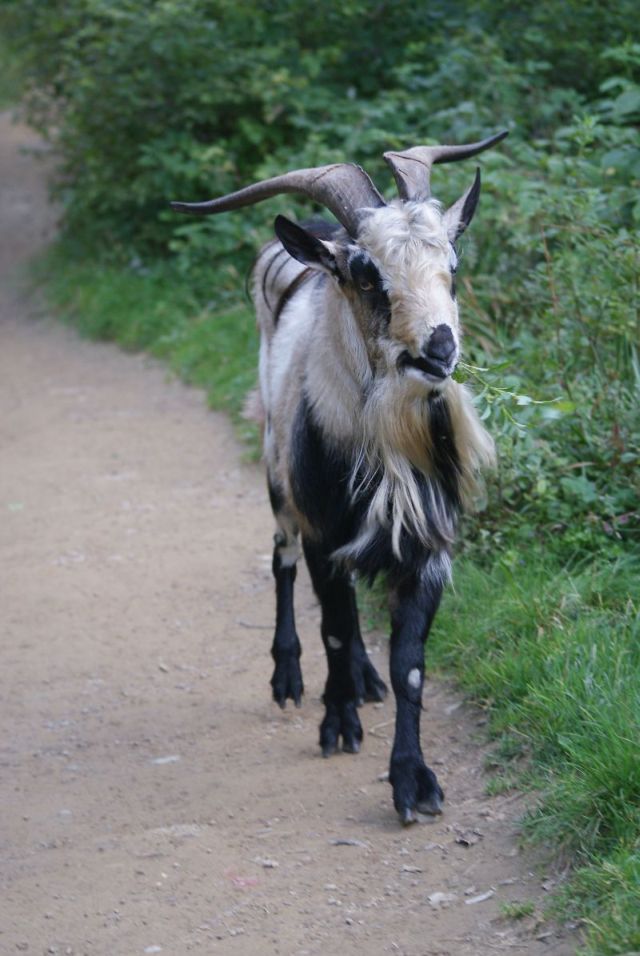 Wczytywanie Obrazu...