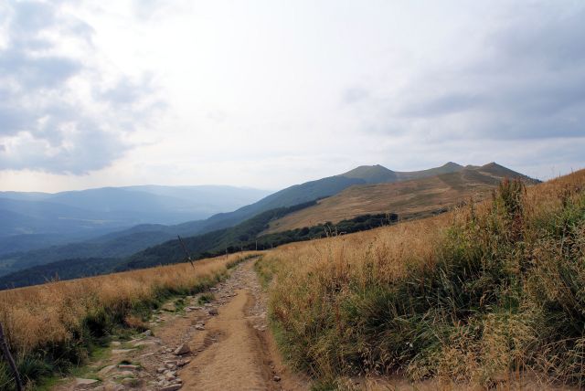 Wczytywanie Obrazu...