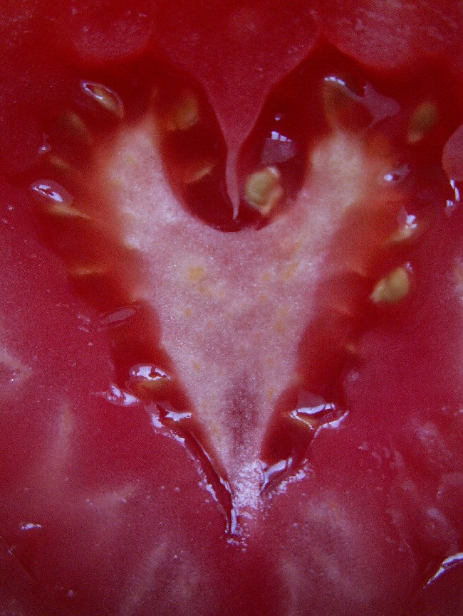 Wczytywanie Obrazu...