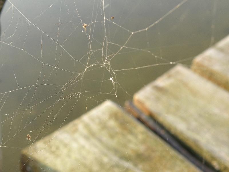 Wczytywanie Obrazu...