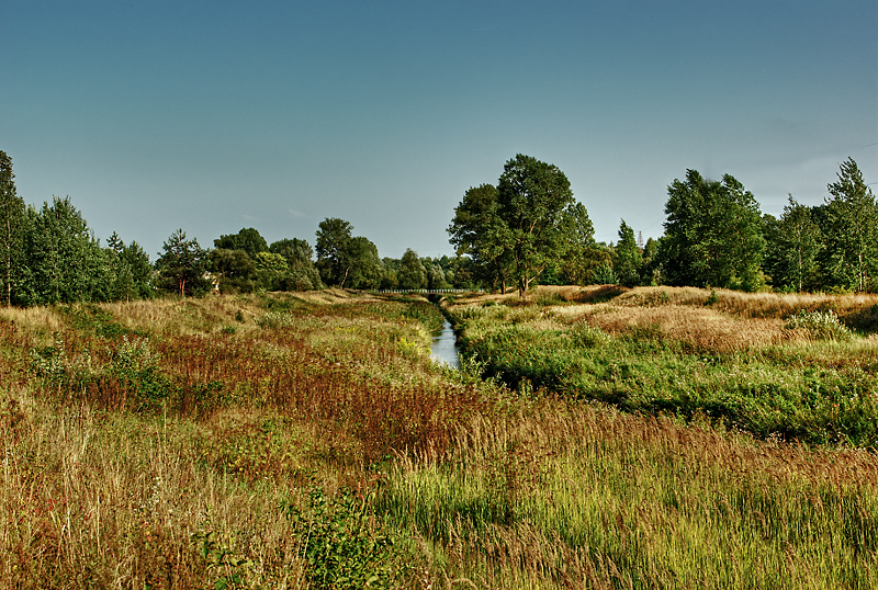 Wczytywanie Obrazu...