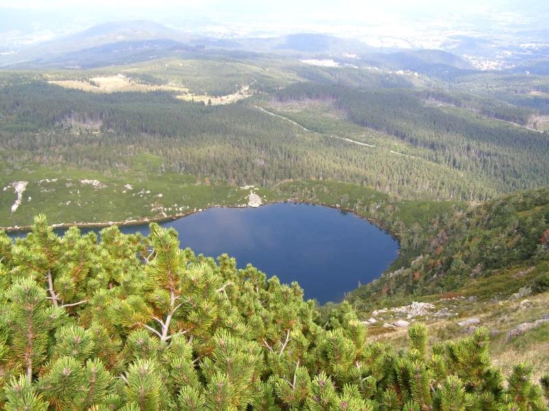 Wczytywanie Obrazu...