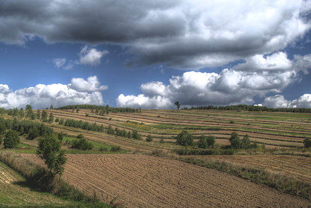 Wczytywanie Obrazu...