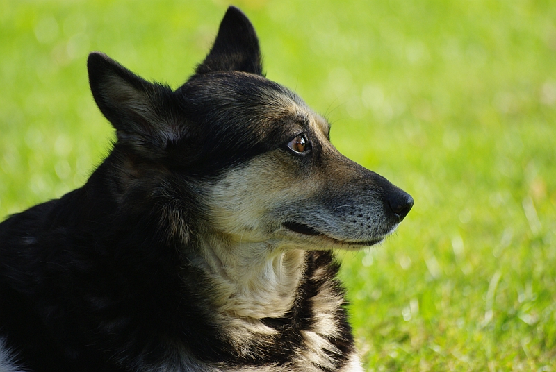 Wczytywanie Obrazu...