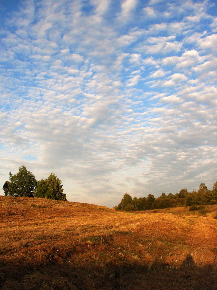 Wczytywanie Obrazu...