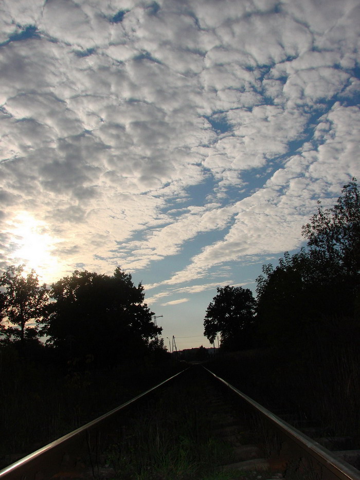 Wczytywanie Obrazu...