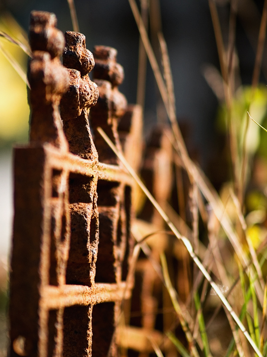 Wczytywanie Obrazu...