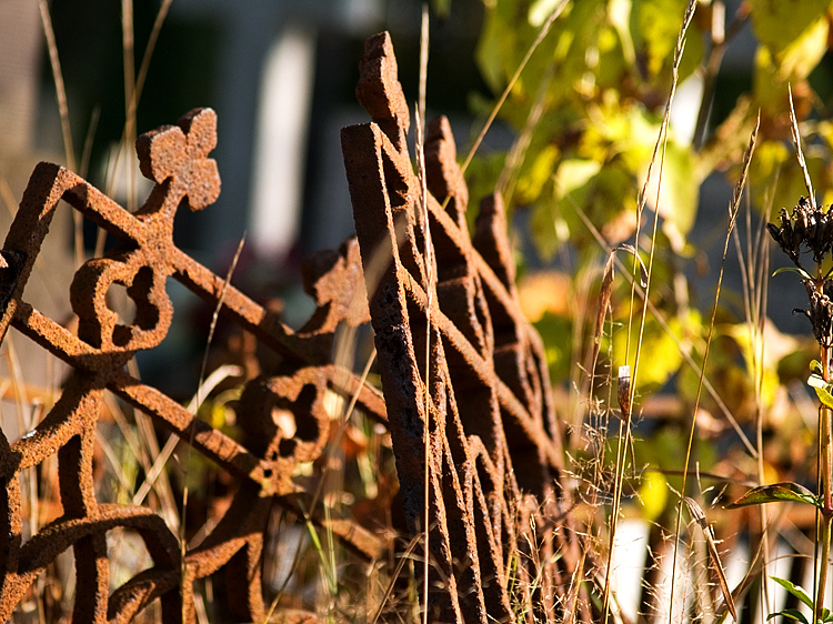 Wczytywanie Obrazu...