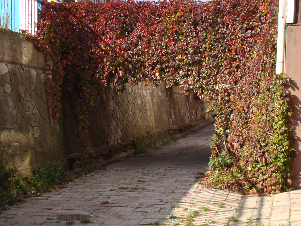 Wczytywanie Obrazu...