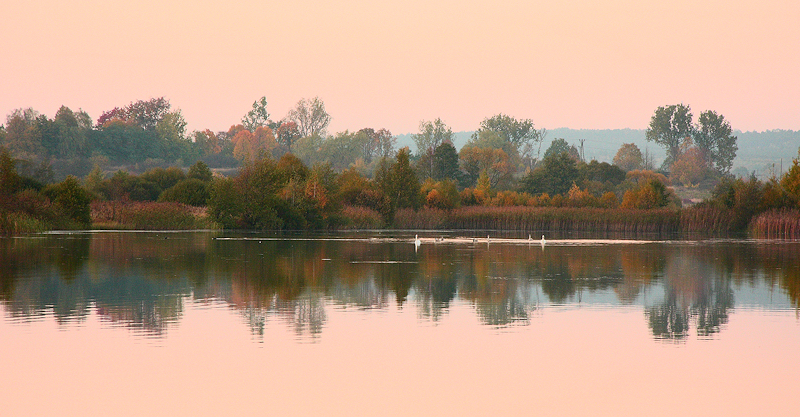 Wczytywanie Obrazu...
