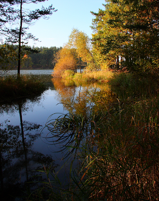 Wczytywanie Obrazu...