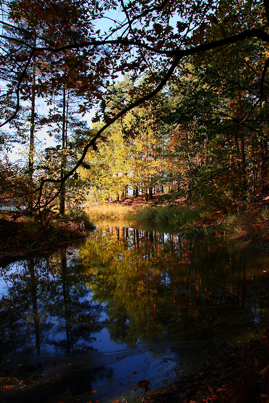 Wczytywanie Obrazu...