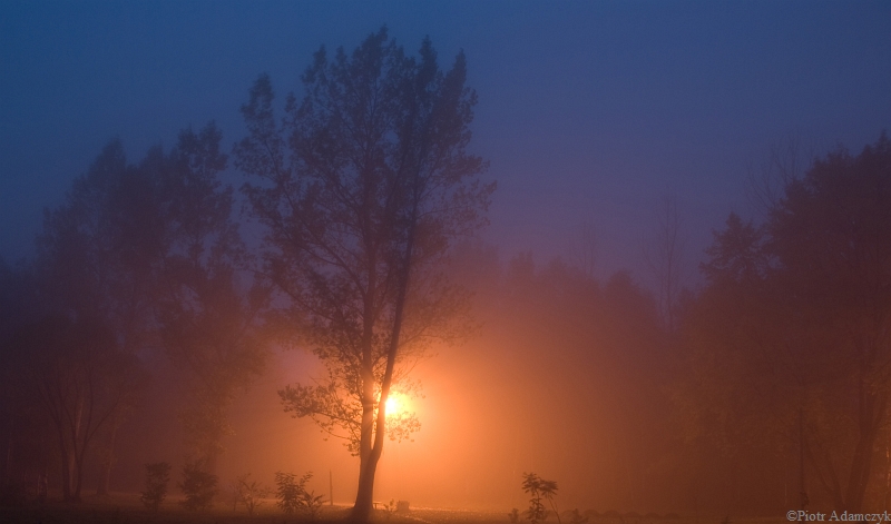 Wczytywanie Obrazu...