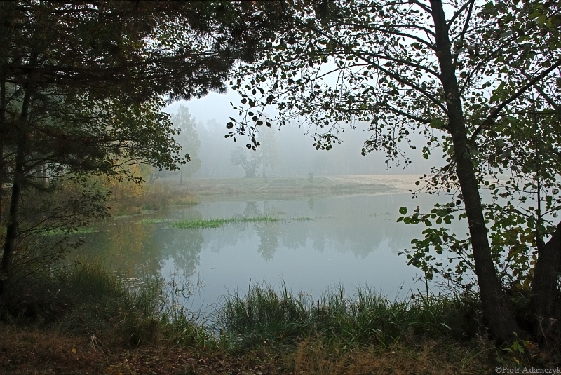 Wczytywanie Obrazu...