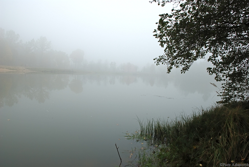 Wczytywanie Obrazu...