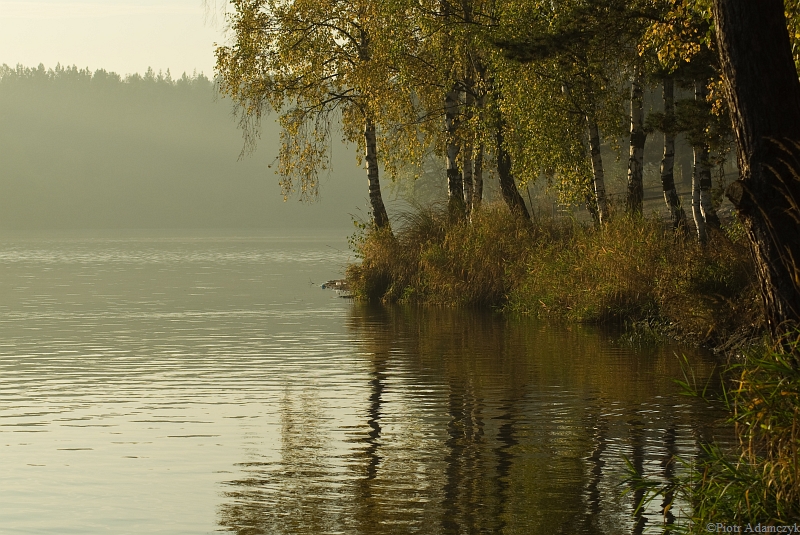 Wczytywanie Obrazu...