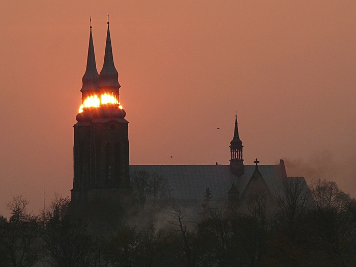 Wczytywanie Obrazu...