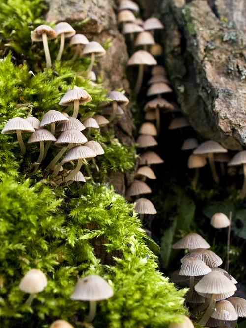 Wczytywanie Obrazu...