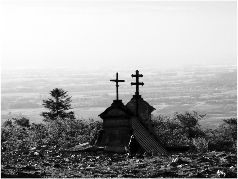 Wczytywanie Obrazu...