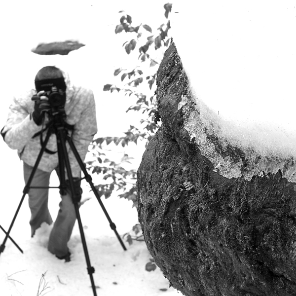 Wczytywanie Obrazu...