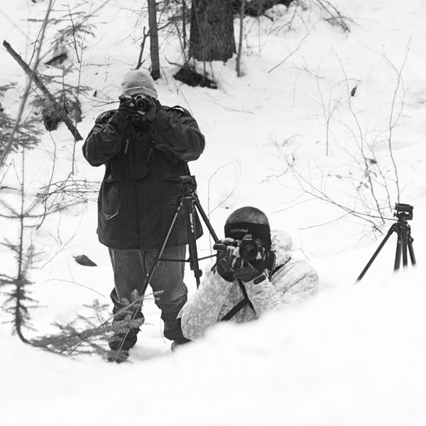 Wczytywanie Obrazu...