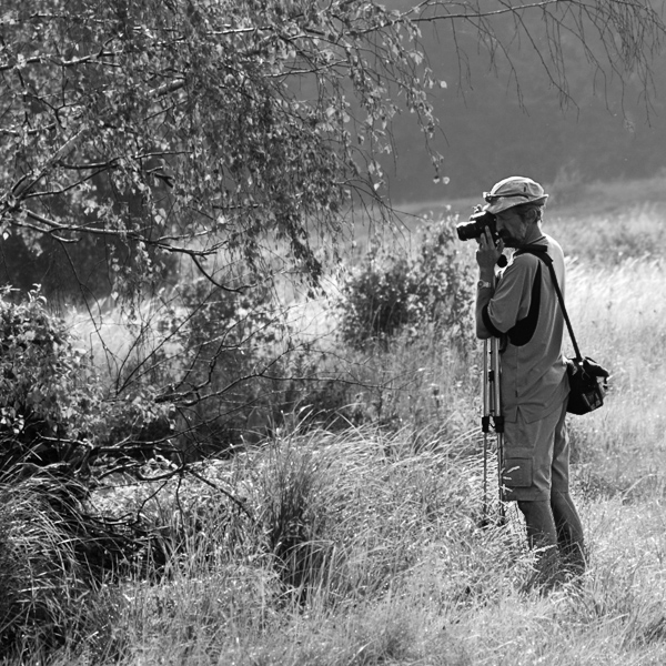 Wczytywanie Obrazu...