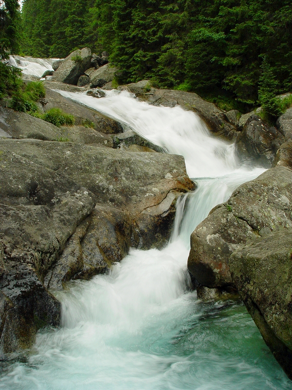 Wczytywanie Obrazu...