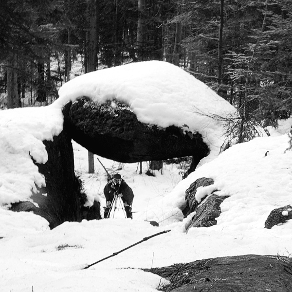 Wczytywanie Obrazu...