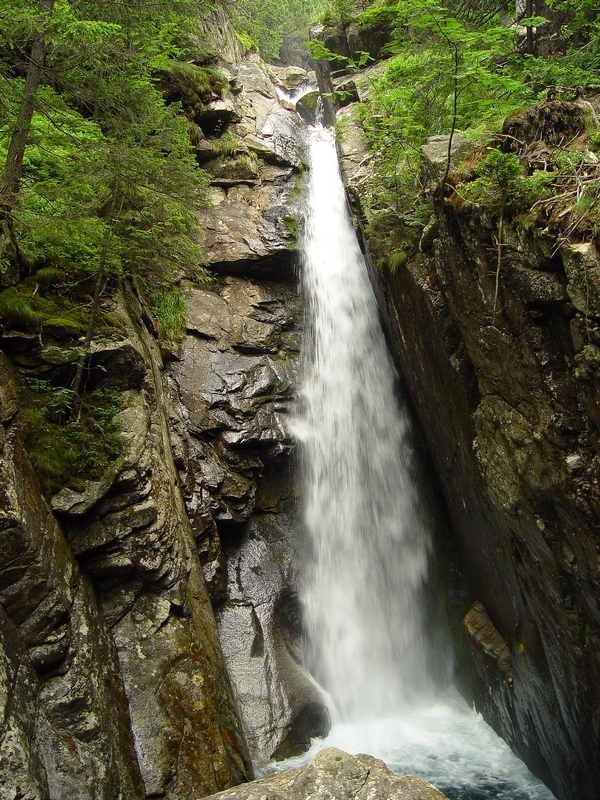 Wczytywanie Obrazu...