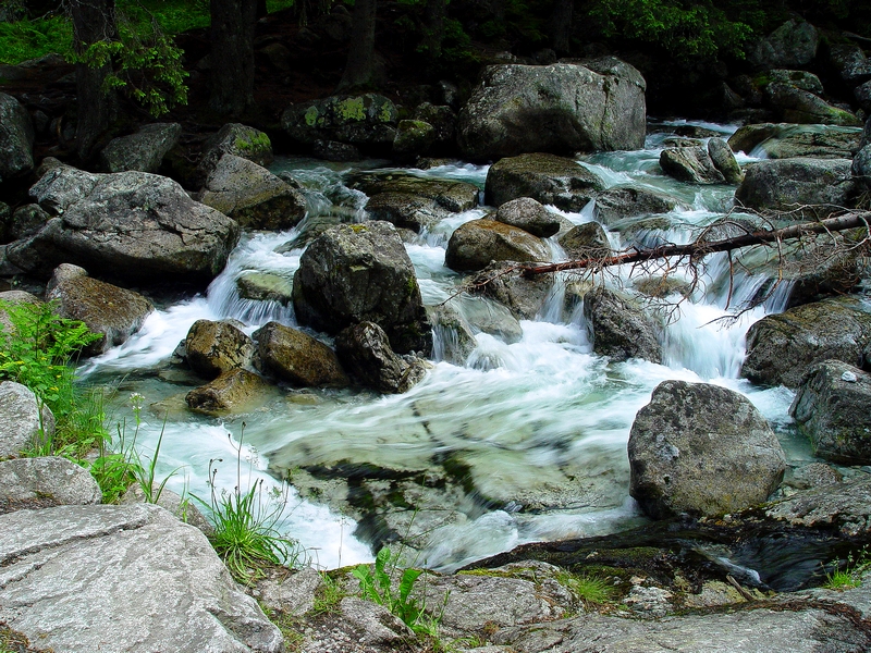 Wczytywanie Obrazu...